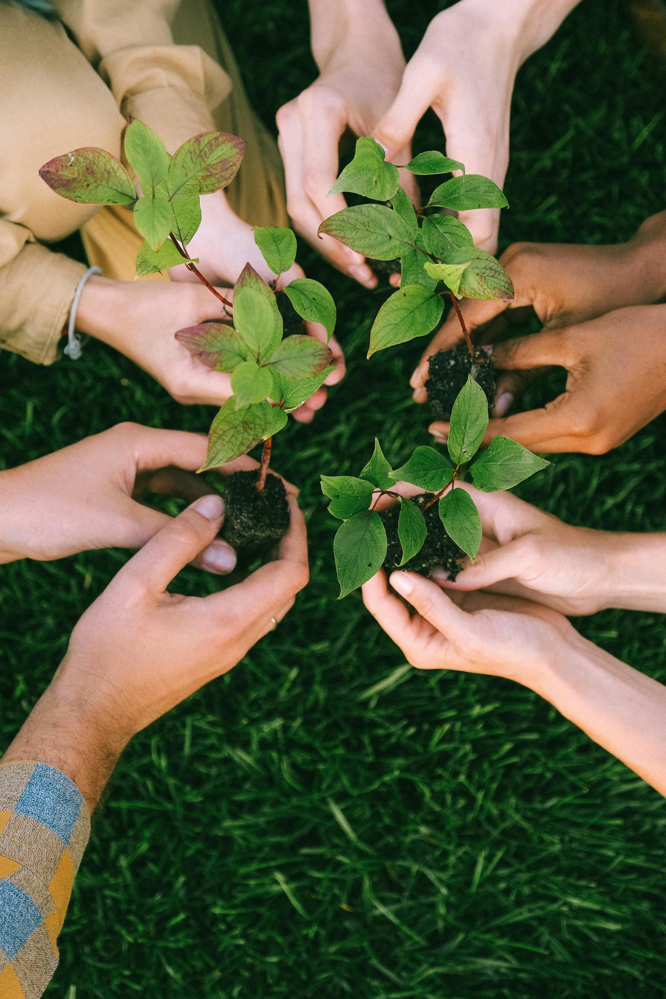 sustainability-img