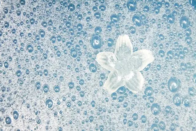 Sodium Lauryl Sulphate (SLS)