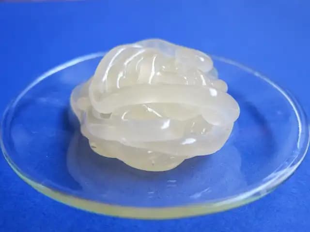 Benzyl Benzoate