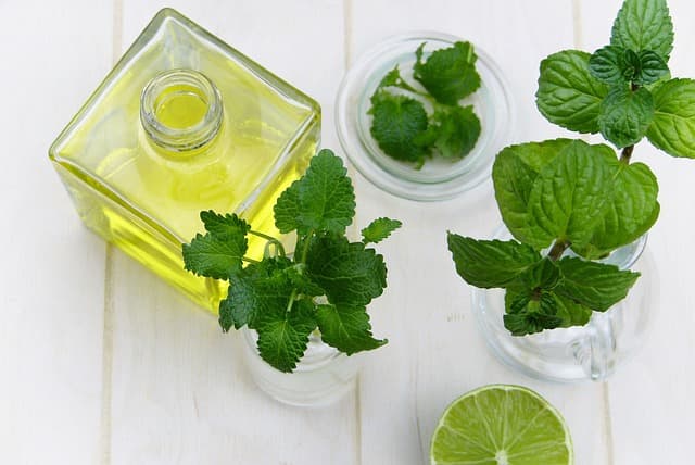 Pepermint Oil