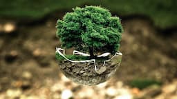 The Role of the Environmental Protection Agency (EPA) in Chemical Regulations