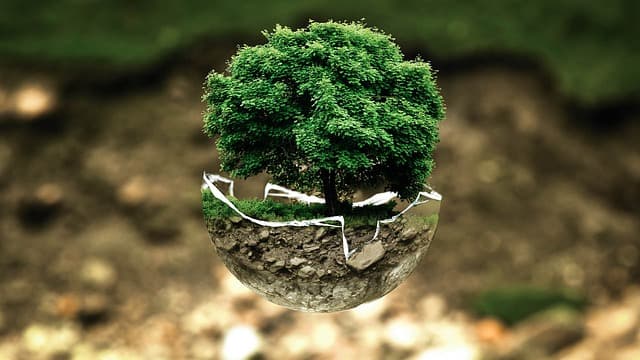 The Role of the Environmental Protection Agency (EPA) in Chemical Regulations