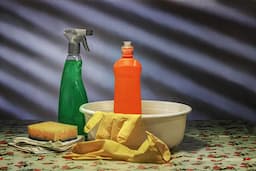 Top 5 Cleaning Chemicals in Terms of Global Demand