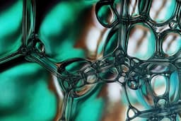 Emerging Trends in Green Chemistry: Renewable Resources to Biodegradable Materials