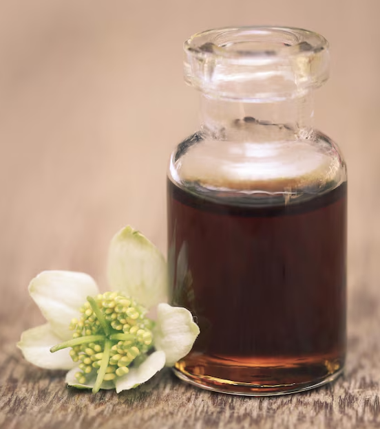 Where Does Vanilla Extract Come From? The Truth About Beaver Goo and Vanilla Flavor