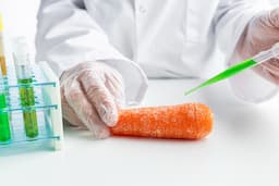 How Propylene Glycol Enhances Food Quality and Preservation