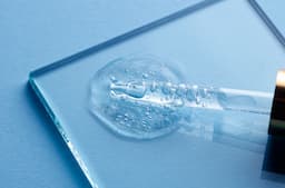 Niacinamide vs Hyaluronic Acid: Market Demand &amp; Formulation Challenges for Suppliers