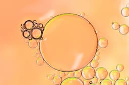AHA vs. BHA: How Skincare Brands Can Leverage These Ingredients Effectively