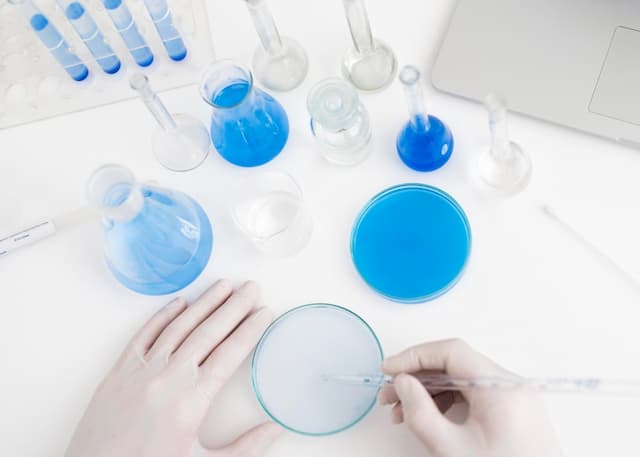 Washing Soda vs. Soda Ash: Key Differences for Industrial &amp; Cleaning Product Manufacturers