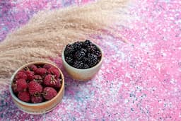 Blueberry vs Raspberry in Skincare: Comparing Antioxidants and Oil Extraction Benefits