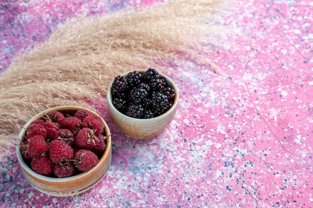 Blueberry vs Raspberry in Skincare: Comparing Antioxidants and Oil Extraction Benefits