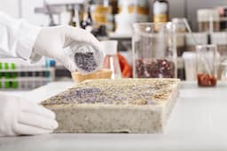 Potassium Permanganate Uses in Food Processing: Safe Oxidation and Hygiene Protocols