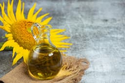 Industrial Benefits of Sunflower Oil: Applications in Food, Cosmetics & Biodiesel Manufacturing
