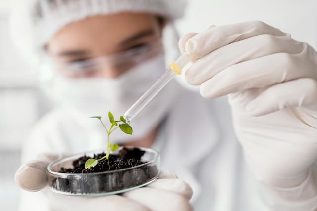 How Elchemy Supports the Transition to Bio-Based Chemical Solutions