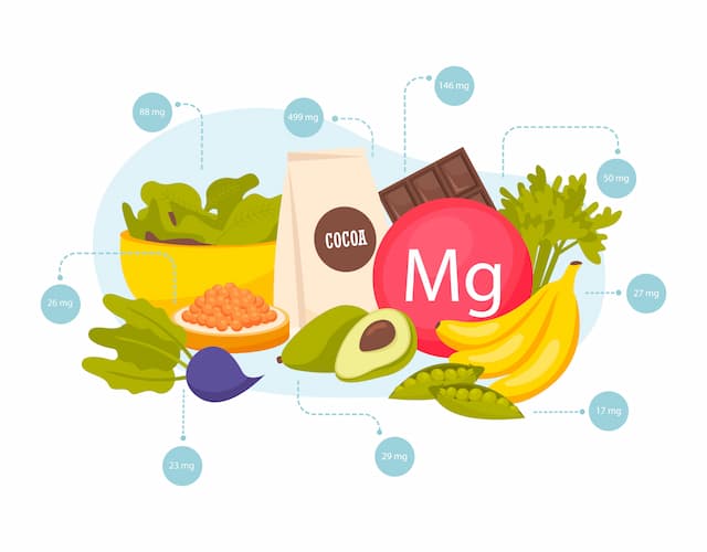 Magnesium Essentials: Knowing the Key Differences Between Citrate and Oxide