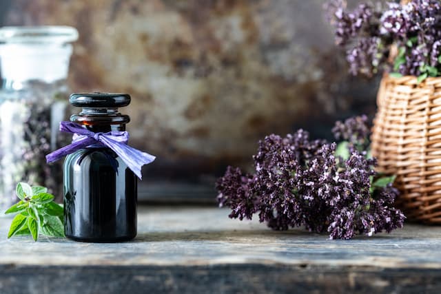 The Role of Lavender Oil in Personal Care: Aromatherapy, Skincare &amp; Haircare