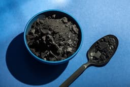 Activated Charcoal in Modern Medicine: From Poison Treatment to GI Detox