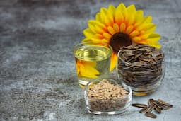 Lecithin vs Sunflower Lecithin: Differences, Health Benefits and Which Is Better for U.S. Consumers?