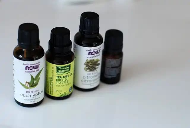 Euclyptus oil 60%