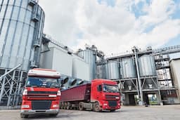 Sodium Methoxide Structure and Applications: A Guide for US Chemical Manufacturers