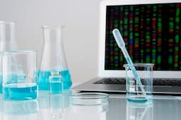 Latest Sodium Lauryl Ether Sulphate Price Trends – New Tariffs & Market Updates