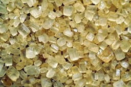 What Is Boswellia Serrata? The Ancient Anti-Inflammatory Herb Taking Over US Supplement Shelves
