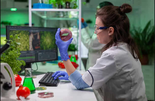 A laboratory scientist wearing protective glasses and gloves examines a petri dish with a sample, surrounded by lab equipment, fresh produce, and a computer screen displaying agricultural analysis, highlighting research in food safety or biotechnology.